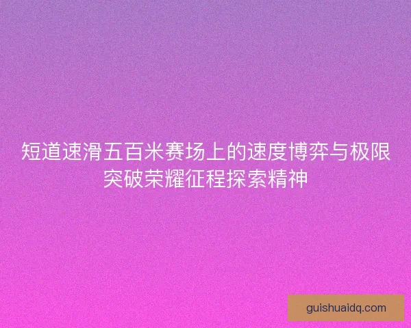 短道速滑五百米赛场上的速度博弈与极限突破荣耀征程探索精神