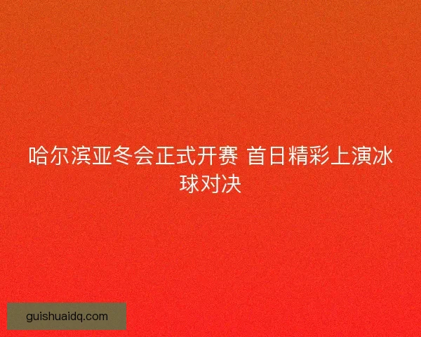 哈尔滨亚冬会正式开赛 首日精彩上演冰球对决